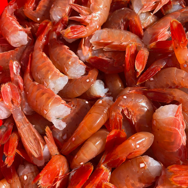 British Columbia Wild Local Spot Prawns